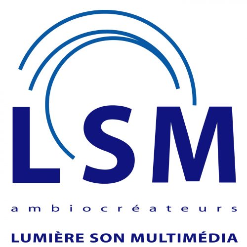 logo LSM