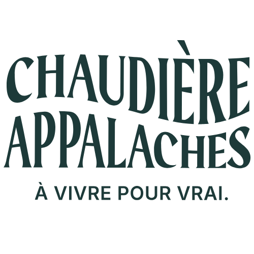 Création sans titre (54)